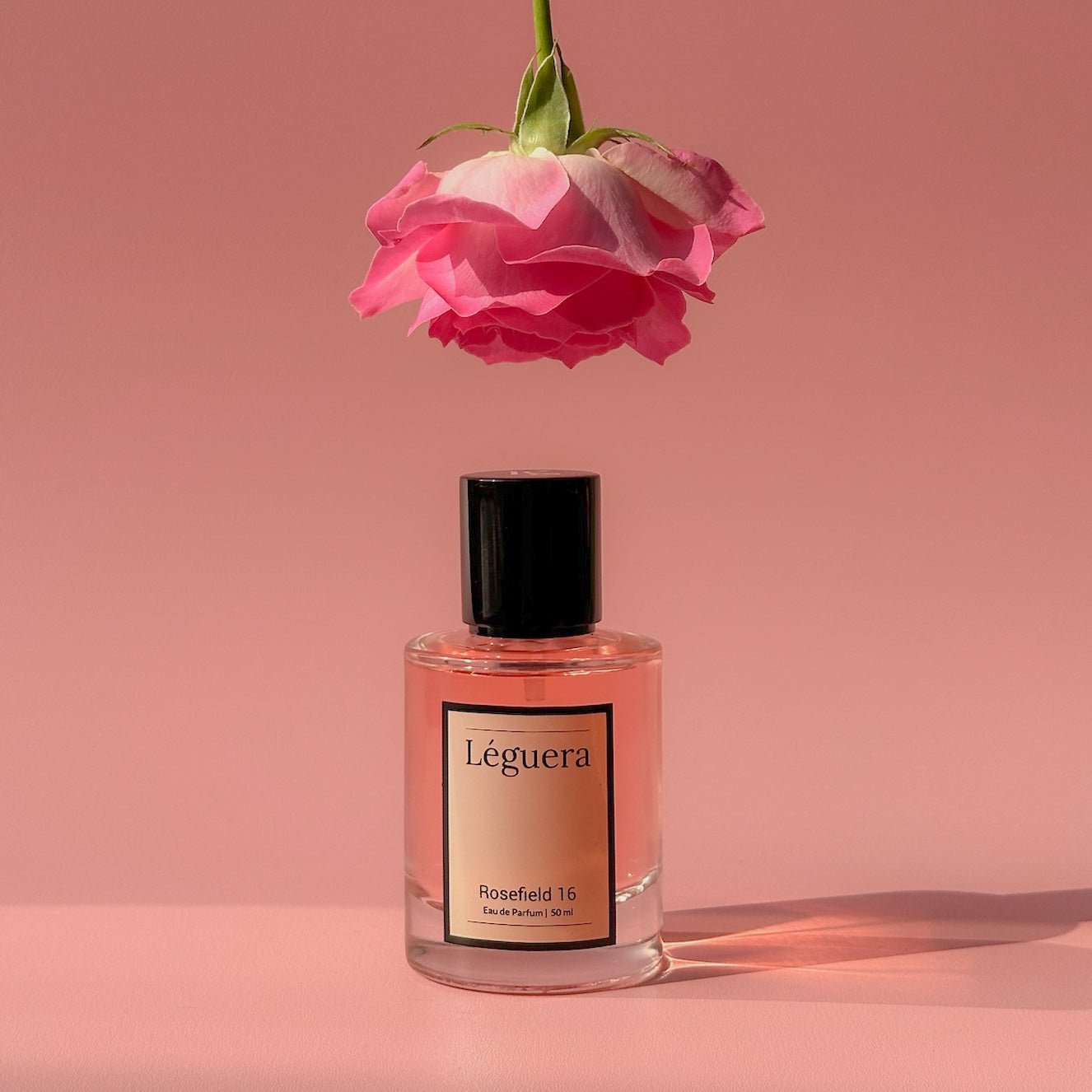 Rosefield 16 - Leguera Fragrances